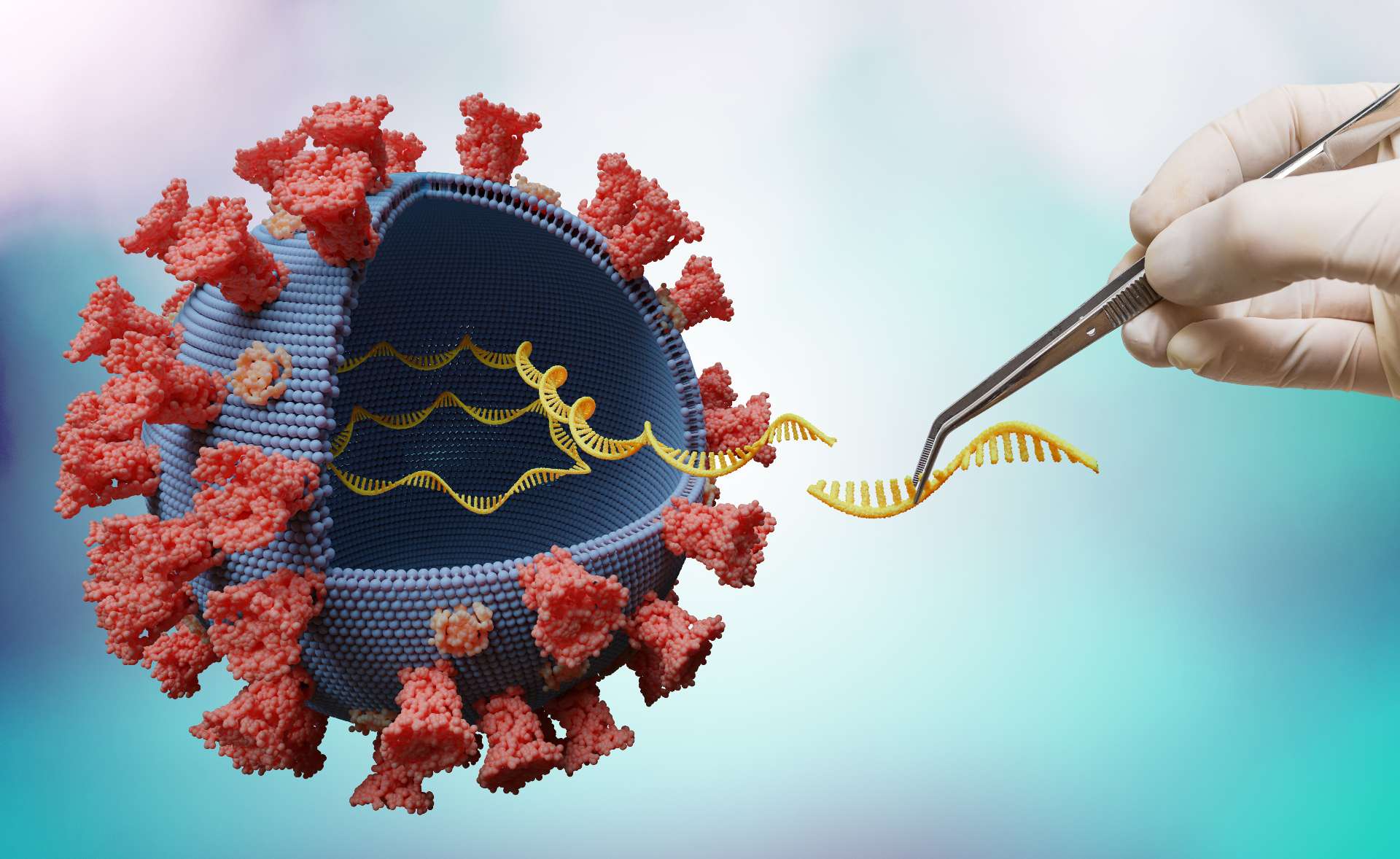 Vaccine mRNA phòng chống Covid 19 hoạt động như thế nào?